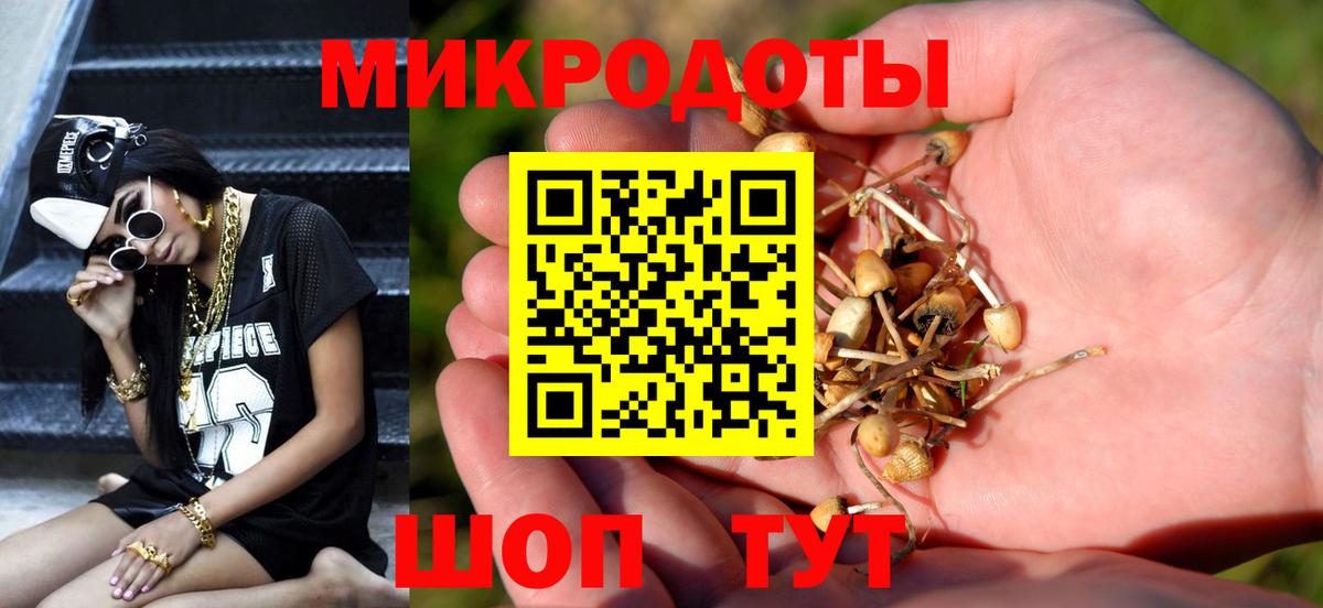 Псилоцибиновые грибы Psilocybe Магнитогорск
