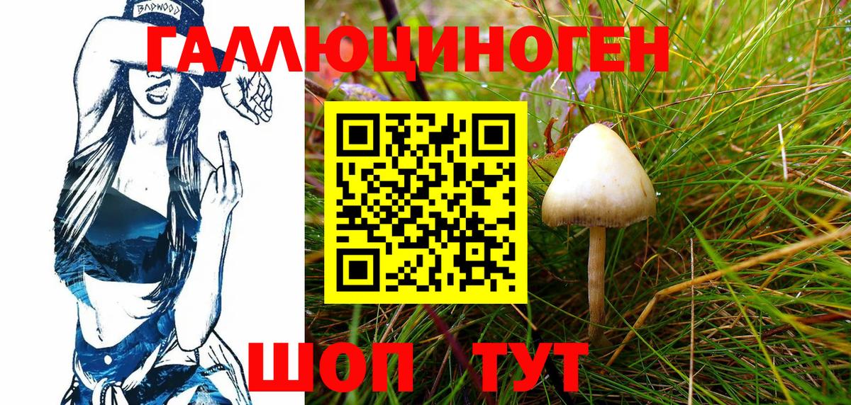 Псилоцибиновые грибы Magic Shrooms  Псилоцибиновые грибы мухоморы  Вход с VPN  Магнитогорск 